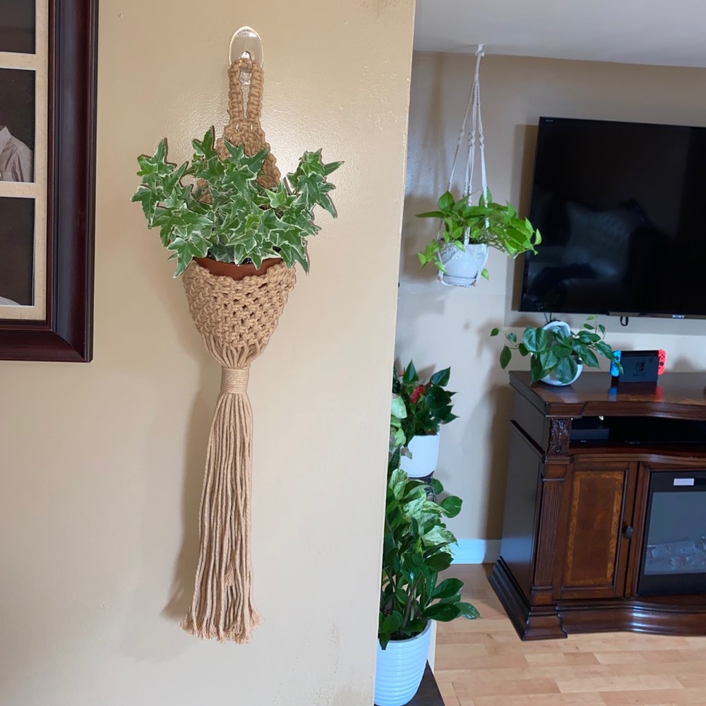 Plant hanger